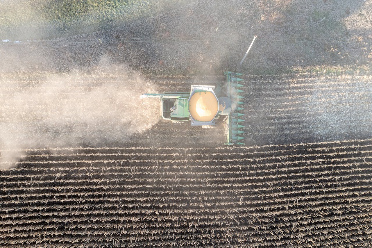 Drone captures harvester working fields in Theilman, MN. Aerial view shows rural agriculture.