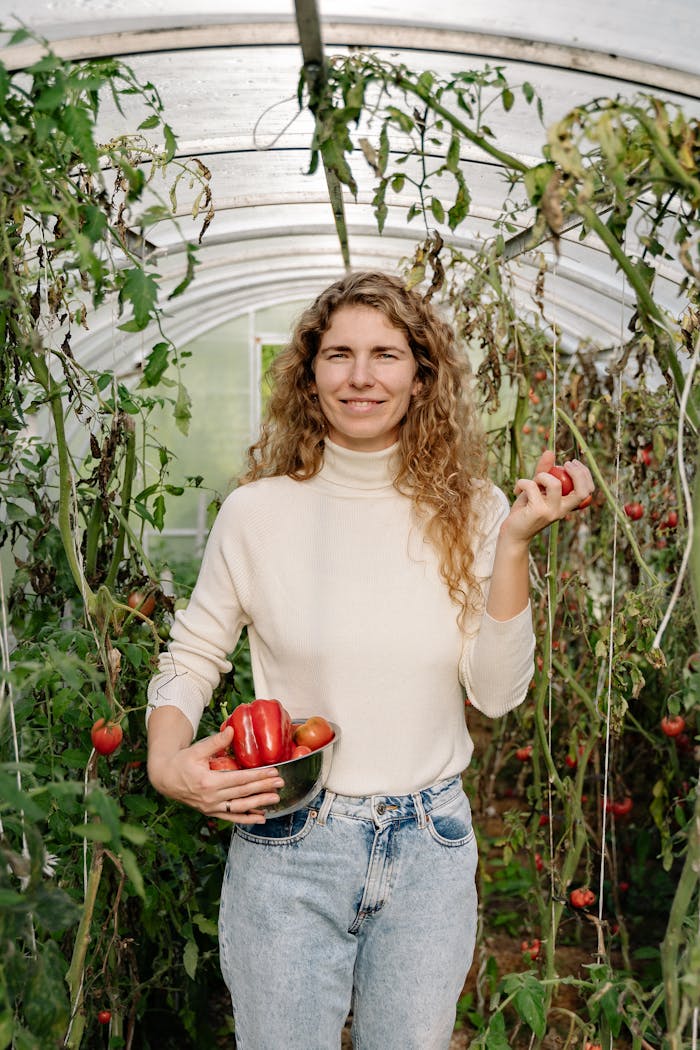 Caucasian woman smiling while harvesting fresh red peppers in greenhouse environment.